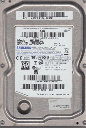 HD256GJ Samsung 250GB SATA 3.5 Inch Hard Drive