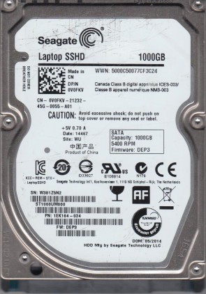 Seagate ST1000UM000