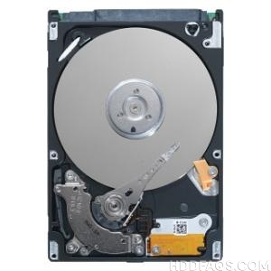 Seagate ST160LM003