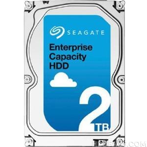 Seagate ST2000NM0008