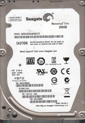 Seagate ST250LT021