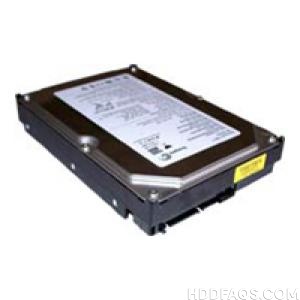 Seagate ST31200827AS