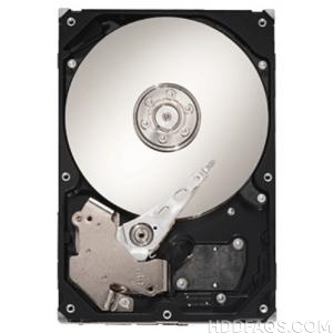 Seagate ST315005N4D1AS-RK