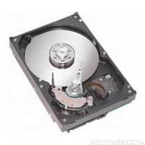 Seagate ST31600827AS