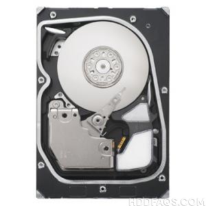 Seagate ST3300655FC