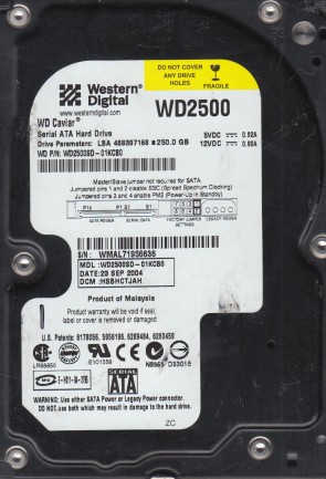 WD2500SD Western Digital 250GB SATA 3.5 Inch Hard Drive